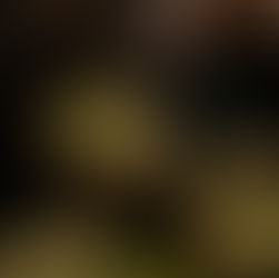 茶都利(さとり)~Day.3~