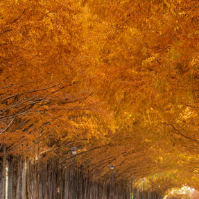 紅いトンネル