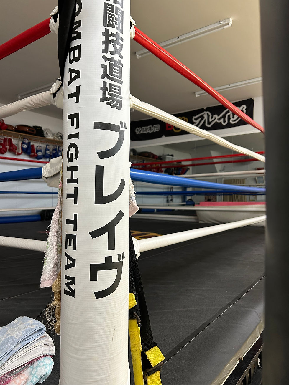 お盆休みです。