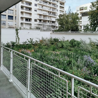 Paysagiste Fouras paysagiste la rochelle paysagiste bordeaux pasagiste concepteur conception jardin bordeaux aménagement jardin