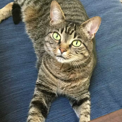 Buttercup Phinney