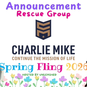 Charlie Mike Blog Announcement