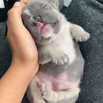 Save the Clefts Tito