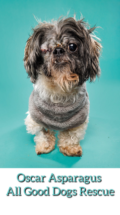 Adoptable Oscar Asparagus