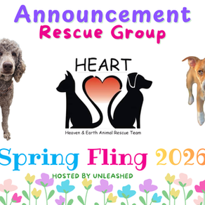 Heaven and Earth Animal Rescue Team