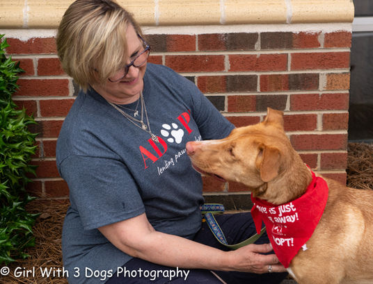 LPAH Foster and Pup