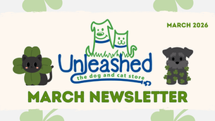 March Newsletter