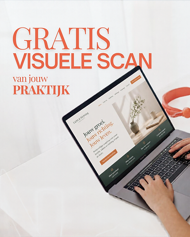 VISUELE SCAN.png