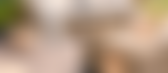 Creating a Cozy Outdoor Oasis: Tips for Transforming Your Space