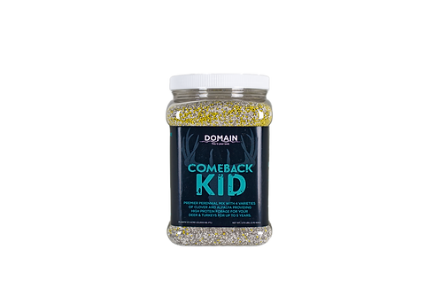 Copy of Comeback Kid.png