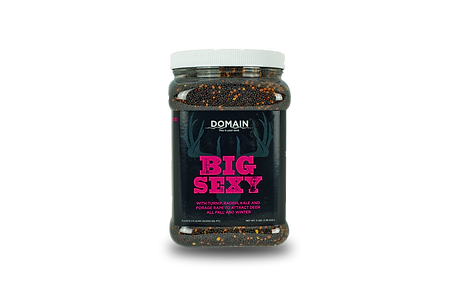 Copy of Big Sexy.png