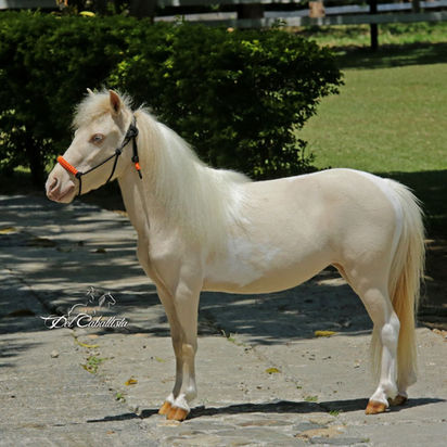 WhatsApp Image 2023-05-12 at 2.59.28 PM (1).jpeg