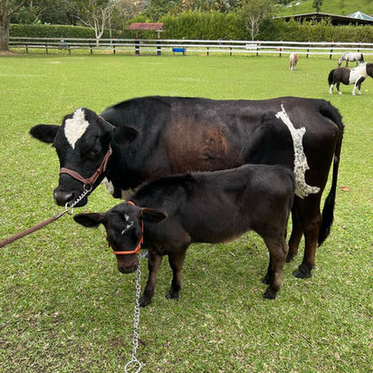 WhatsApp Image 2023-05-12 at 10.37.49 AM (2).jpeg