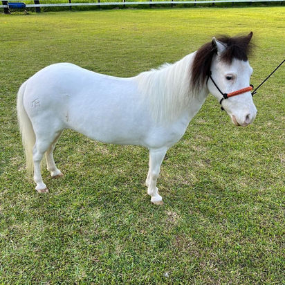 WhatsApp Image 2023-05-12 at 12.39.24 PM (1).jpeg