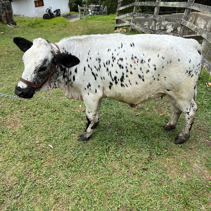 WhatsApp Image 2023-05-12 at 2.33.02 PM (1).jpeg