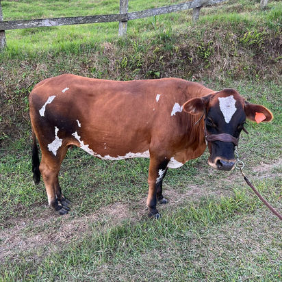 WhatsApp Image 2023-05-12 at 10.37.50 AM.jpeg