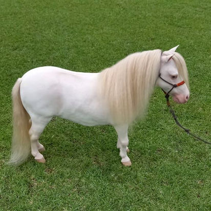 WhatsApp Image 2023-05-12 at 12.32.35 PM.jpeg