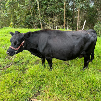 WhatsApp Image 2023-05-12 at 2.33.02 PM.jpeg