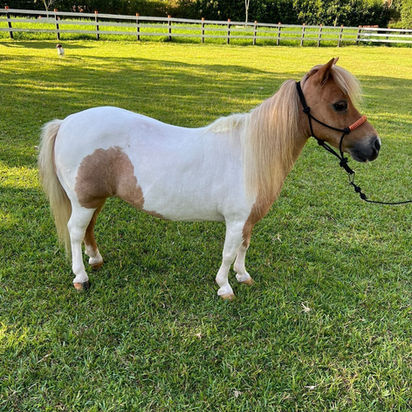 WhatsApp Image 2023-05-12 at 12.39.26 PM.jpeg