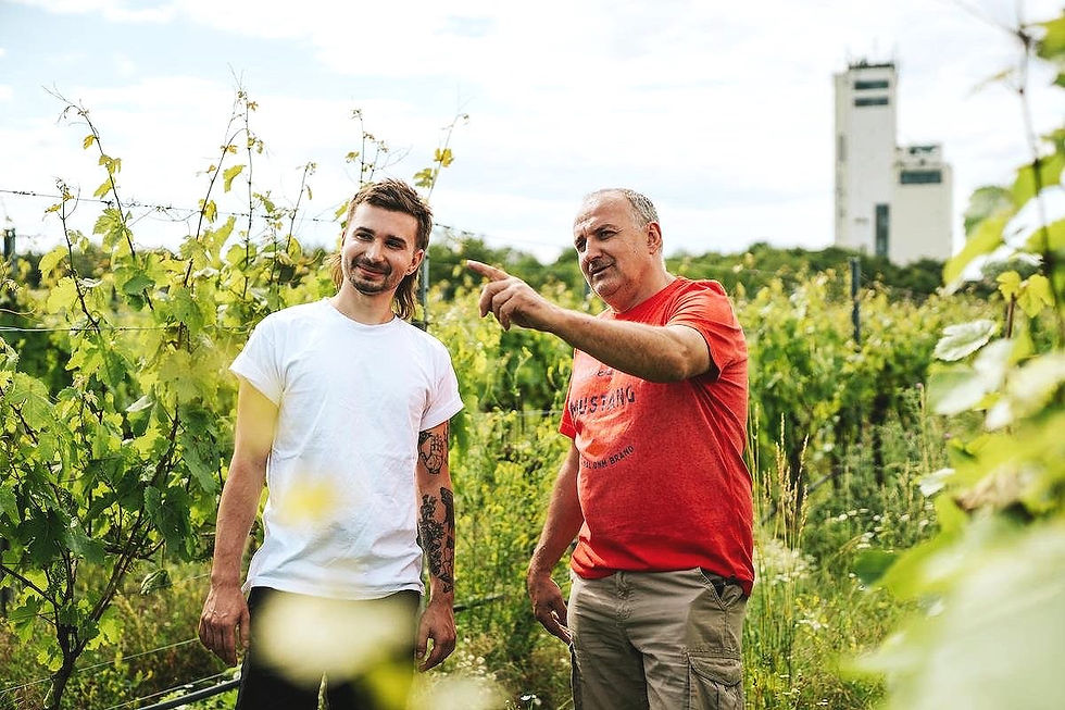 Thumbnail: Marta Vine Tasting Night