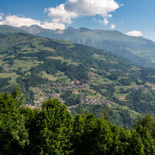 IMG_7043.jpg