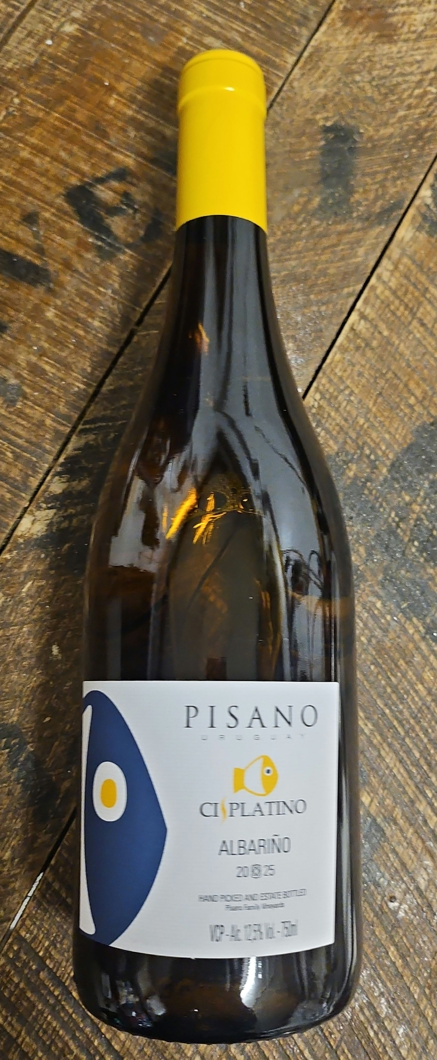Pisano Cisplatino