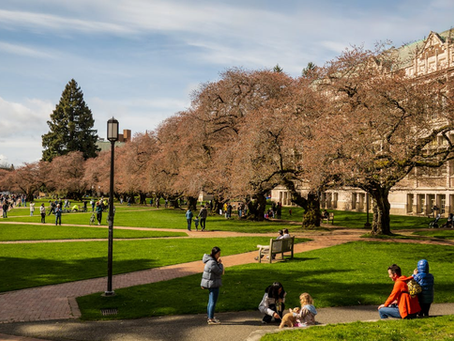 AI internship in Florida: how high school students can apply