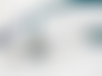 The Impact of a Focused Research Health Care Project on a T40 College Application