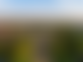 AI in Healthcare : The Perfect Passion Project for Gonzaga University Applicants