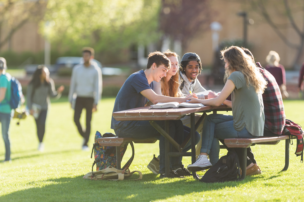 Students sit at a picnic table on a sunny campus lawn, studying together and smiling. Others walk in the blurred background.