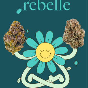 High there! We are Rebelle Dispensary  in the South-End of Boston!