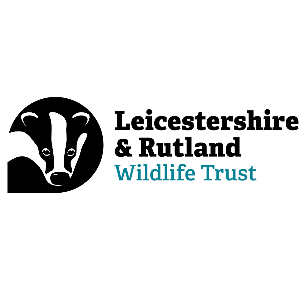 LRWT_LOGO_PRIMARY_COLOUR