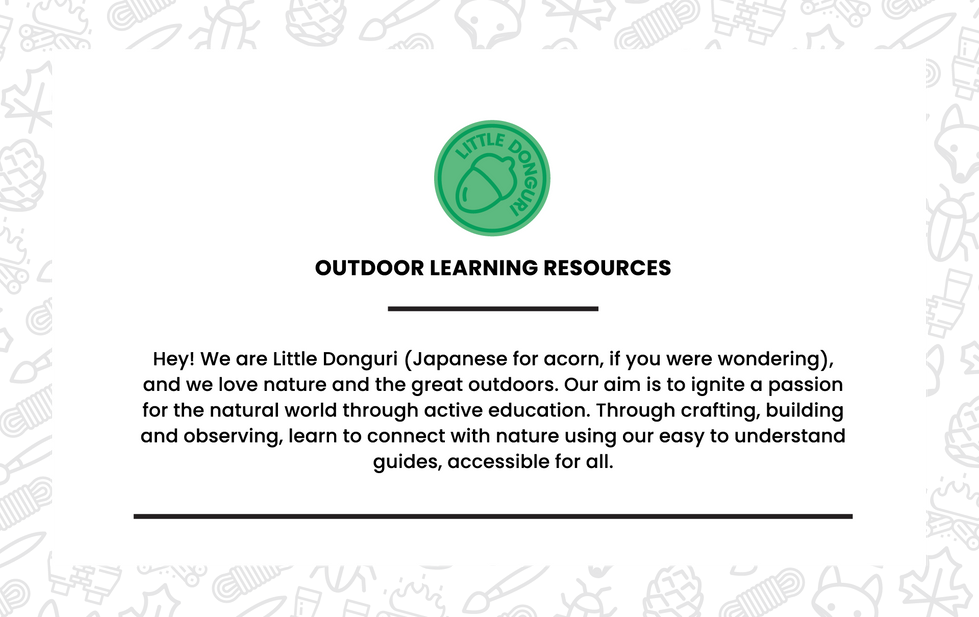 Little Donguri outdoor learning resources, brand identity, print design
