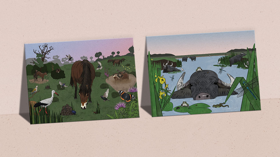 Large Herbivore Working Group: Illustration, Postcard