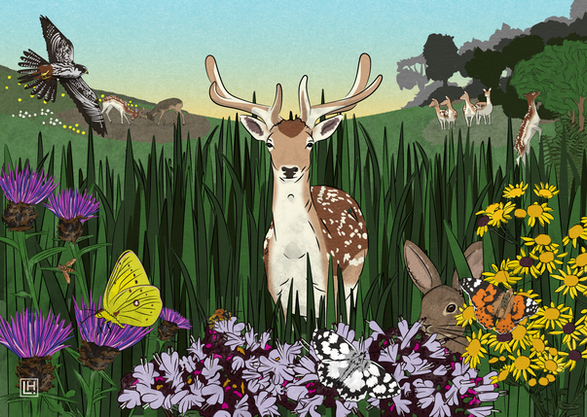 illustration of large herbivores in nature restoration, fallow deer