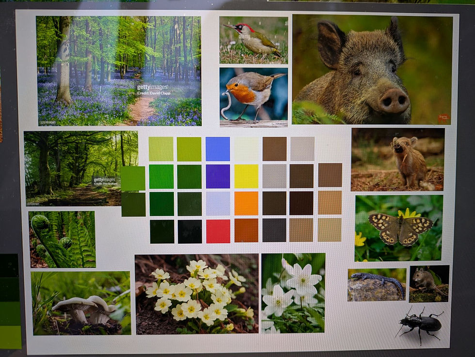 Colour palette for ilustrations