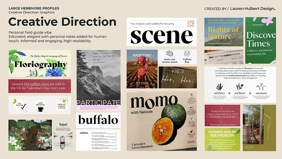 Large Herbivore Creative Direction Graphics