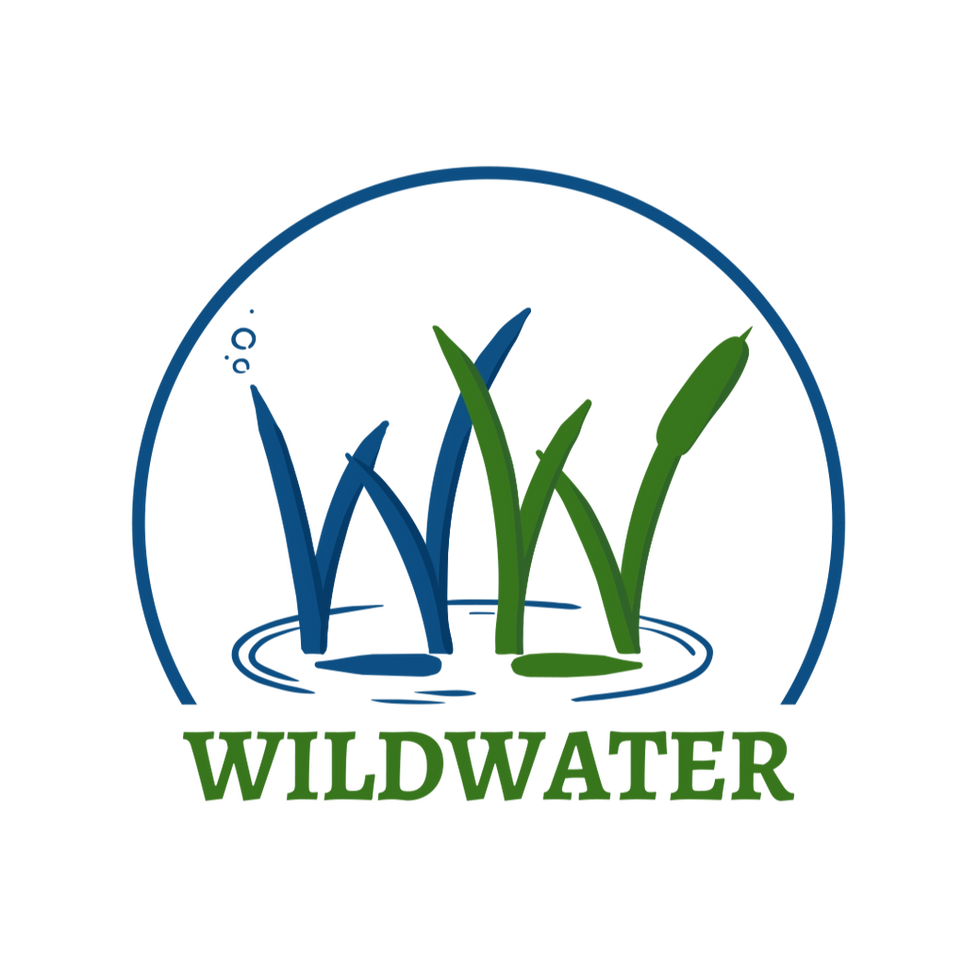 WildWater Logo_edited