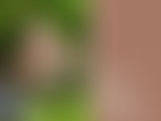 Global colour experts Pantone have revealed the colour of the year for 2025 is… Mocha Mousse 17-1230