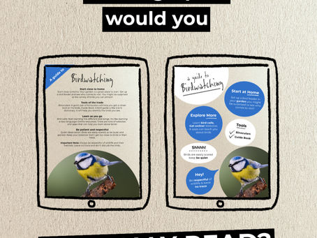Which Graphic Would YOU Stop and Read?