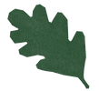Leaf, rough graphic 