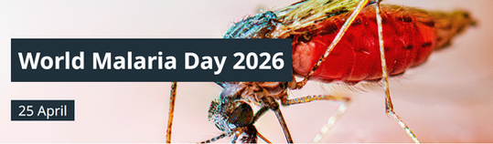 19 Years of World Malaria Day