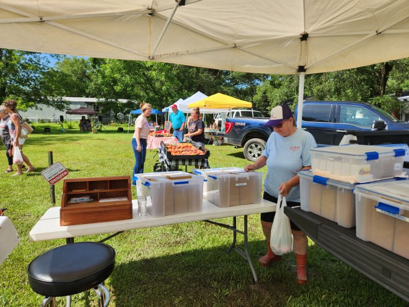 Ecru Farmers Market 9