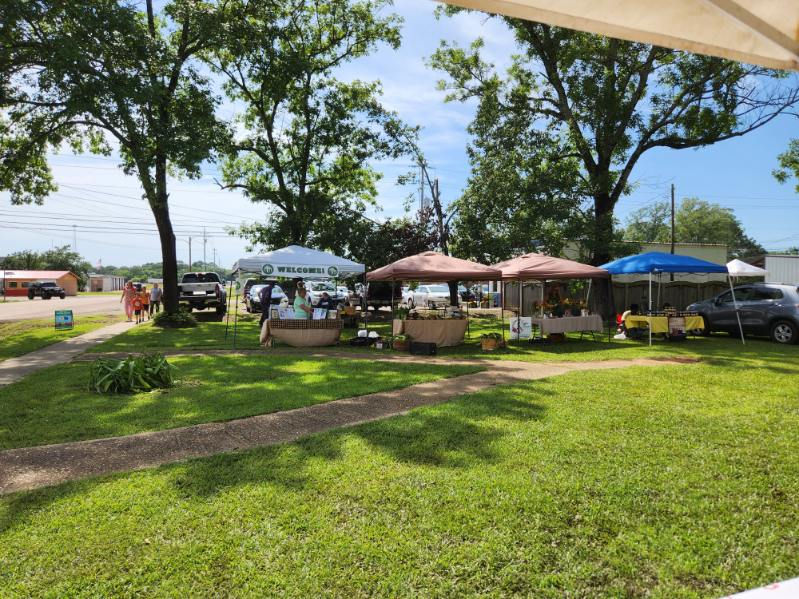 Ecru Farmers Market 11