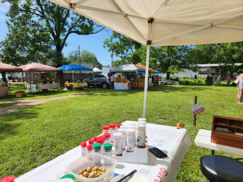 Ecru Farmers Market 14