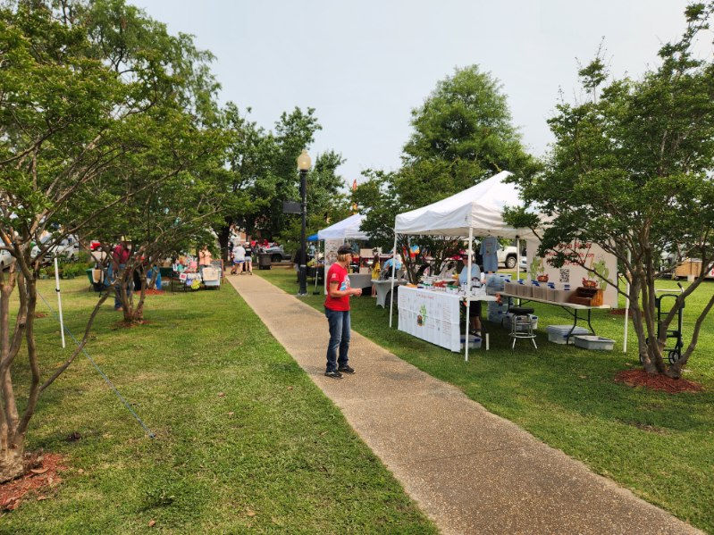 Calhoun City Square Festival 03