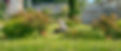 AgroCampus Dijon jardins parc verdure