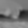 Image d'une grosse vague