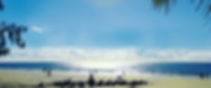 Edited front page from inst_edited_edited_edited.jpg