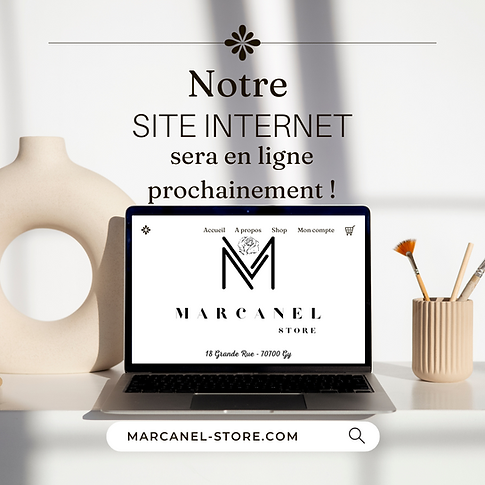 Marron et beige Féminin Délicat Annonce nouveau site internet Publication instagram.png
